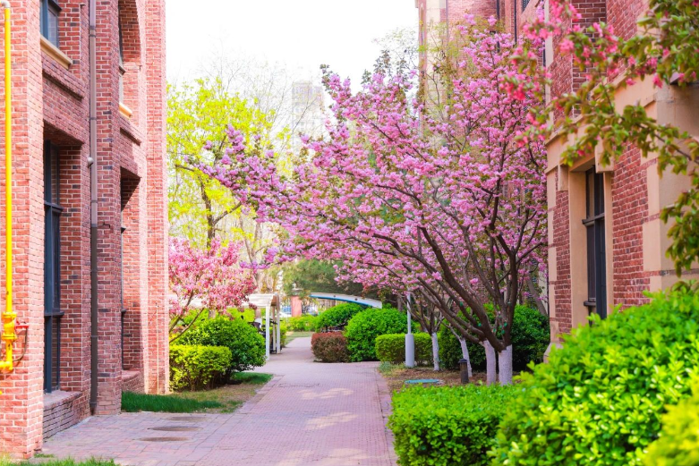 天津黑利伯瑞国际学校住宿费用&环境详情,家长必看(图1)